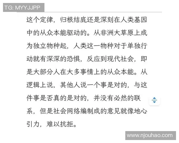 探寻英雄联盟成功背后的秘密与周伟的独特见解